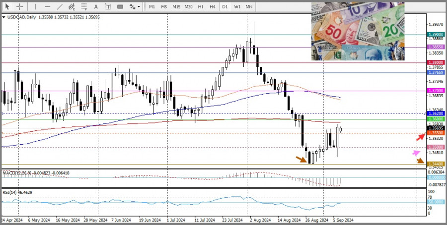 analytics66deb9a3ac60f.jpg