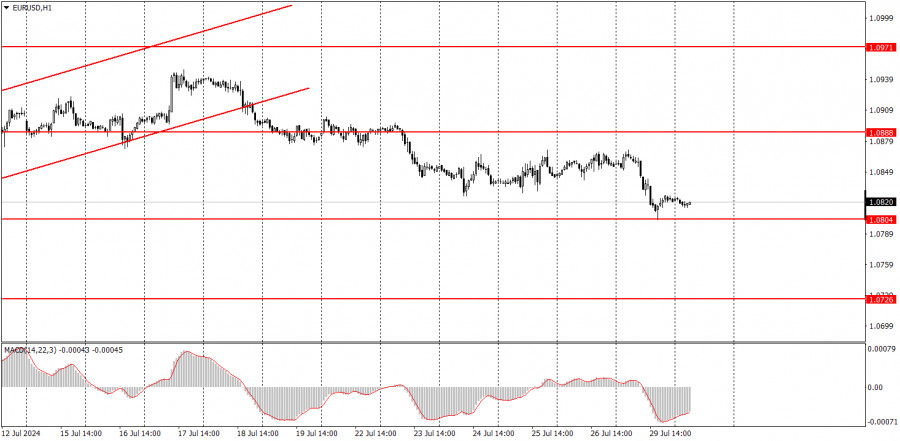 analytics66a868068cf2c.jpg