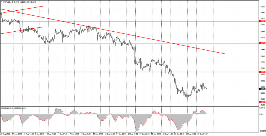 analytics6abb1ca6e7a7b.jpg