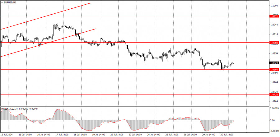 analytics66a9c1b4348a8.jpg