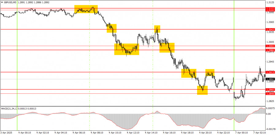 analytics67f35a7961acd.jpg