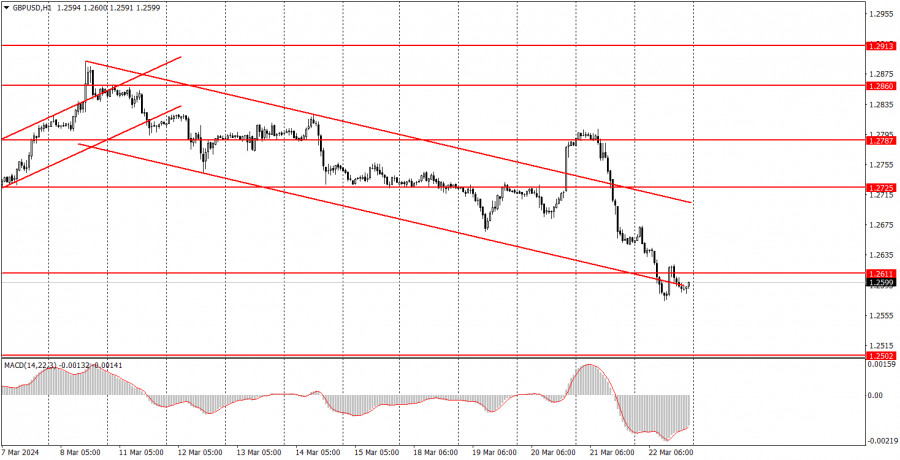 analytics65fef870ab17e.jpg