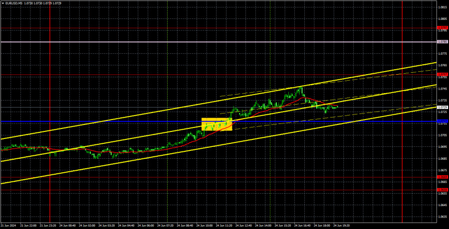 analytics667a09844ee8e.jpg