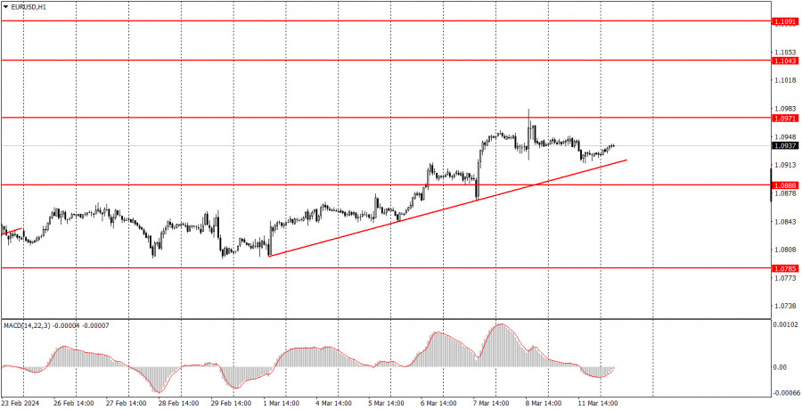 analytics65efe5bc0b196.jpg