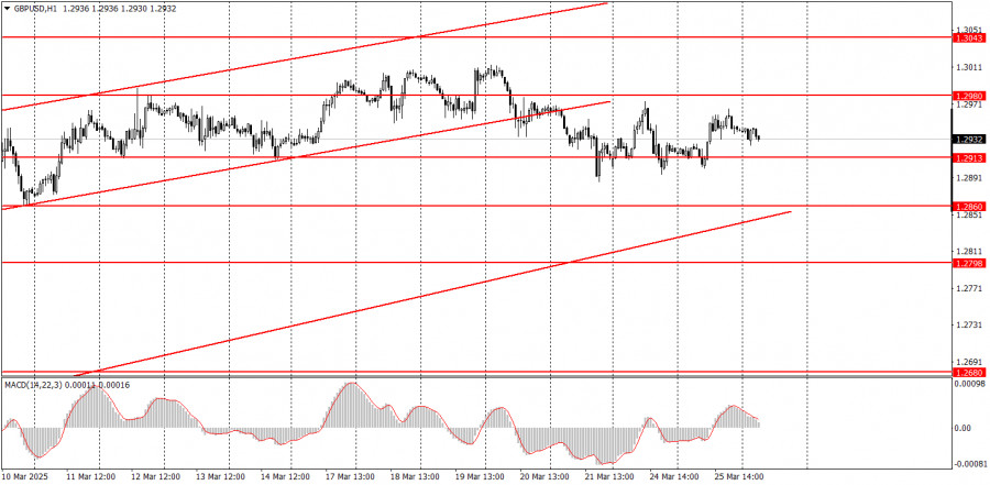 analytics67e38a4ea90cf.jpg