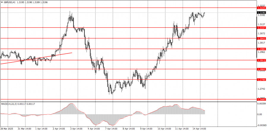 analytics67fddd99b1a37.jpg