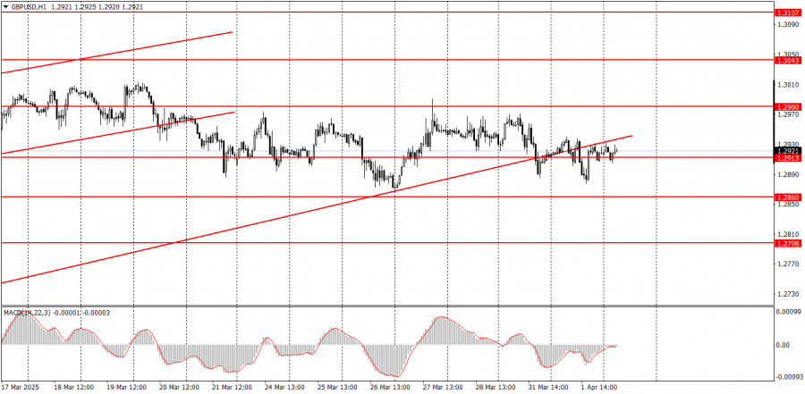 analytics67ecbbd9058ec.jpg