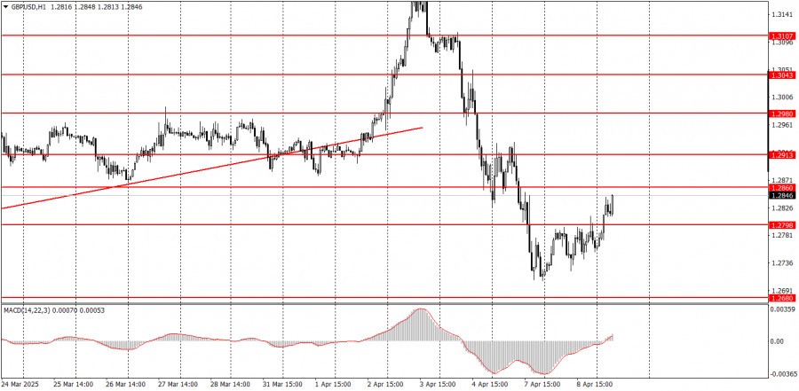 analytics67f5fd61b0a58.jpg