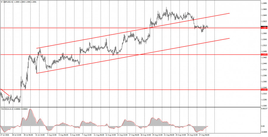 analytics6a9108baad19c.jpg