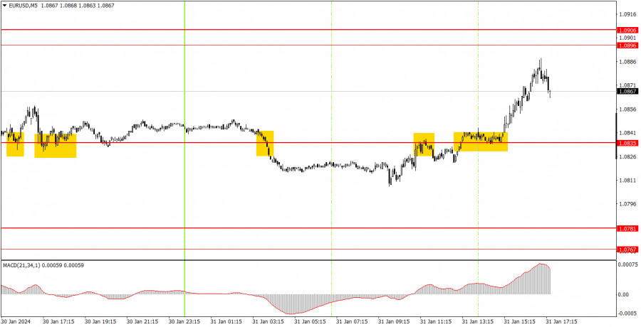 analytics65ba7f5de9abd.jpg