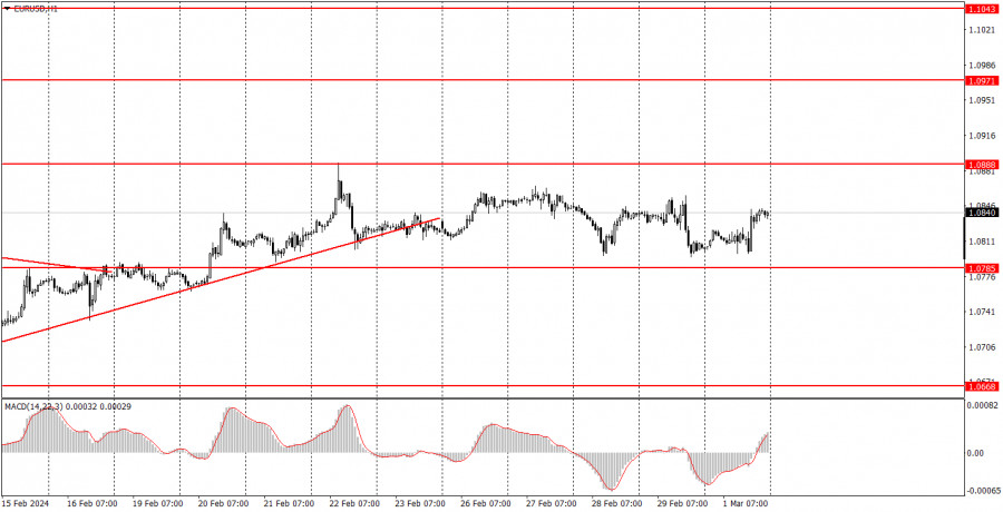 analytics65e4b6ae9eab5.jpg