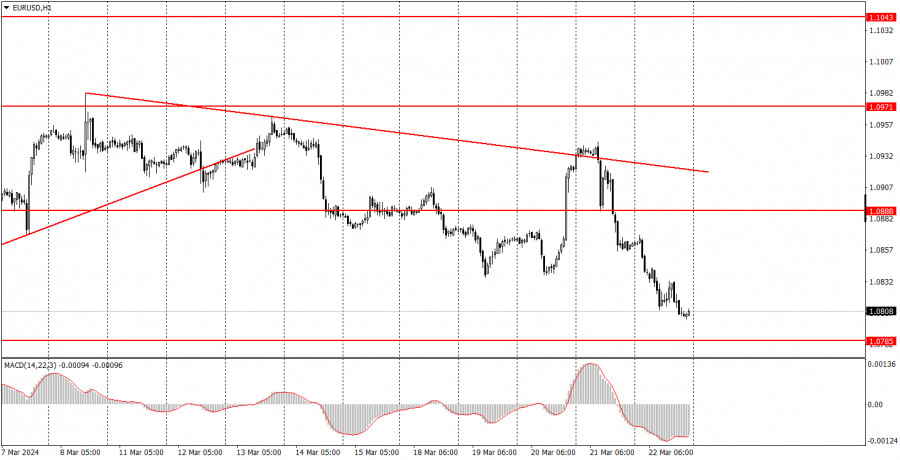 analytics65fee717efa7b.jpg