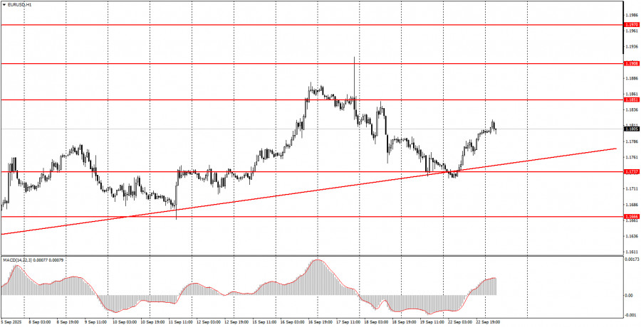 analytics68d22a27e163a.jpg