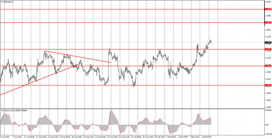 analytics68bfa6353e0b3.jpg