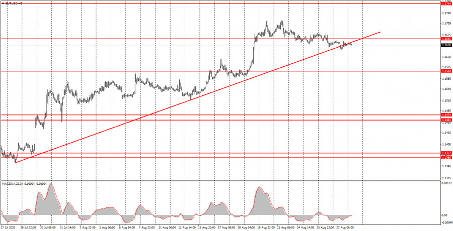 analytics6a9108a78b2cc.jpg