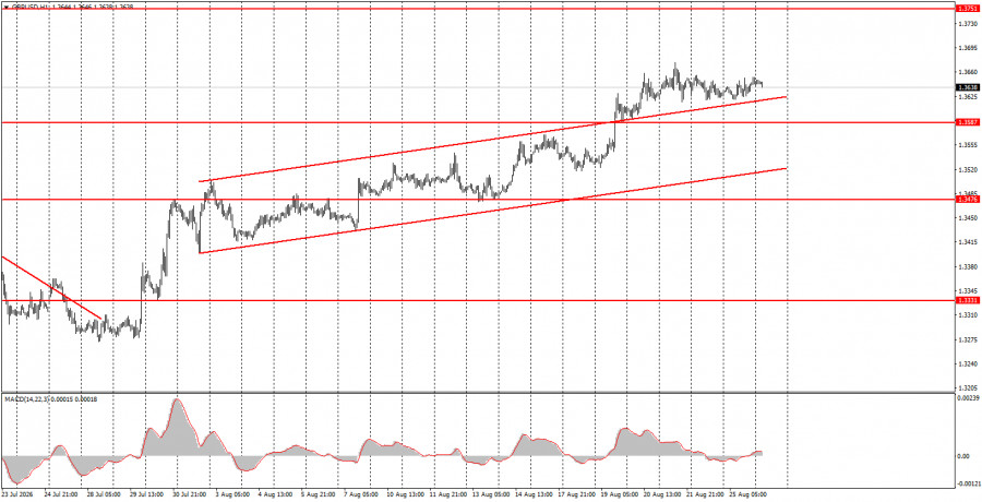 analytics6a8e5f72b5161.jpg