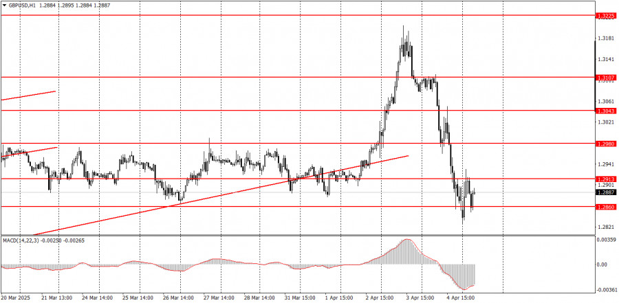 analytics67f35c3216a3d.jpg