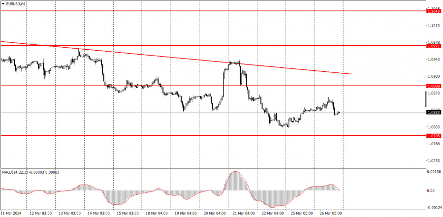 analytics660320fe111a1.jpg