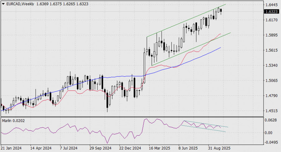 analytics68e480a983ae0.jpg