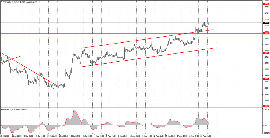 analytics6a87c11f25845.jpg