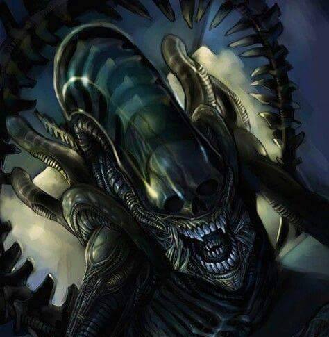 full avatar