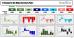 C:\fakepath\trader-10062024-36-zm.jpg