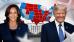 C:\fakepath\usa-volby-05112024.jpg