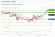 C:\fakepath\trader-31012025-04-zm.gif