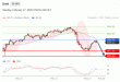 C:\fakepath\trader-17022025-02-zm.gif