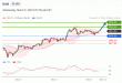 C:\fakepath\trader-05032025-02-zm.gif
