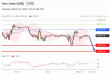C:\fakepath\trader-10032025-15-zm.gif
