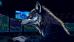 C:\fakepath\Wolfe-Wave-13052025-uvod.jpg