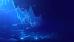 C:\fakepath\trader-14052025-1.jpg