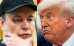 C:\fakepath\Trump-Musk.png