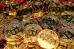 C:\fakepath\bitcoin-08062025.jpg