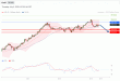 C:\fakepath\trader-03072025-02-zm.gif