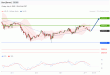 C:\fakepath\trader-04072025-19-zm.gif