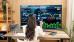 C:\fakepath\trader-11072025-43-zm.jpg