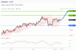 C:\fakepath\trader-08082025-11-zm.gif