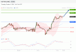 C:\fakepath\trader-02102025-14-zm.gif