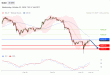 C:\fakepath\trader-22102025-02-zm.gif