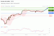 C:\fakepath\trader-22102025-16-zm.gif