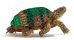 turtle-17112014-2.png