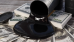 C:\fakepath\trader-13052026-85-zm.png
