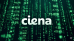 C:\fakepath\Ciena-19052026-1.png