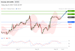 C:\fakepath\trader-29052026-16-zm.gif