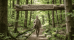 C:\fakepath\1785840689-Navrh_bez_nazvu.png