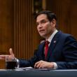 C:\fakepath\Rubio.jpg