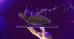 C:\fakepath\turtle_strategy_mt4.2e16d0ba.fill-1200x630.jpg