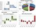 ssi index 20042011.jpg